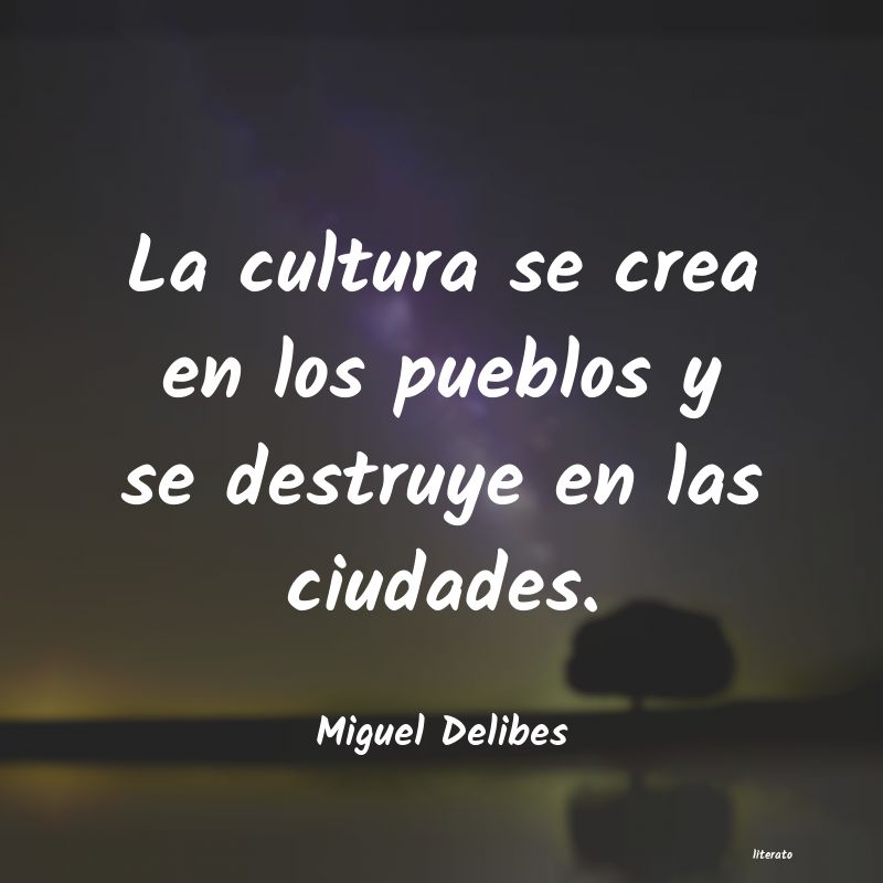 frases de Miguel Delibes