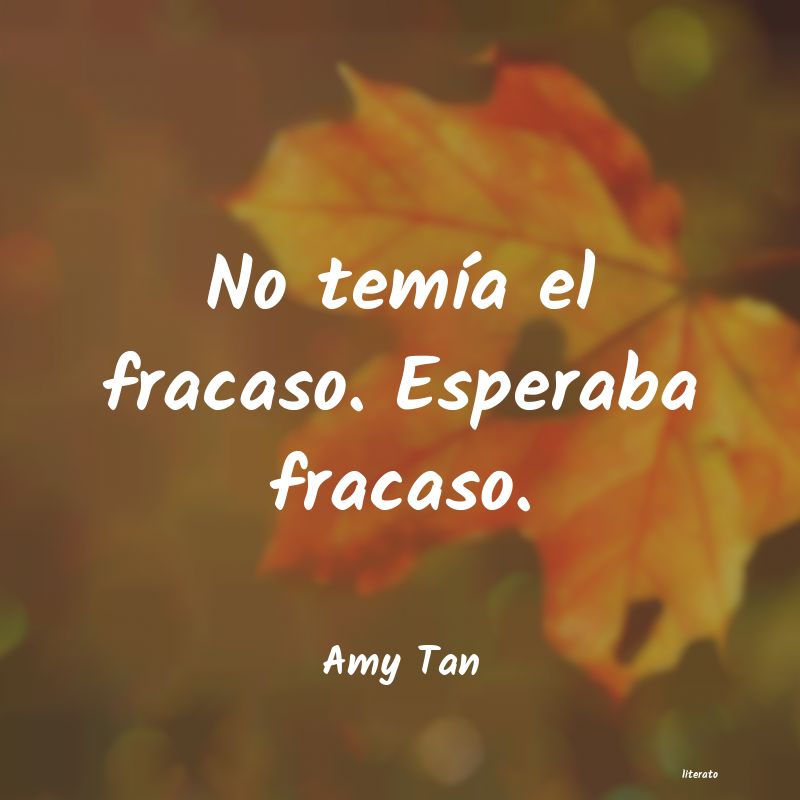 Frases de Amy Tan