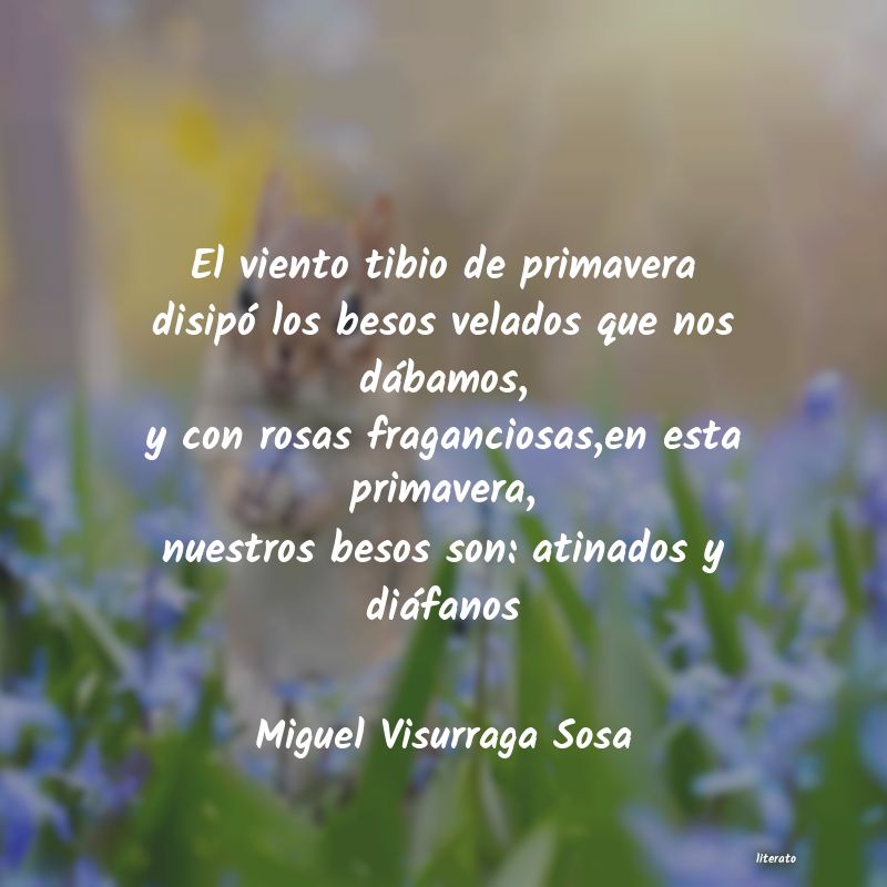 frases de Miguel Visurraga Sosa