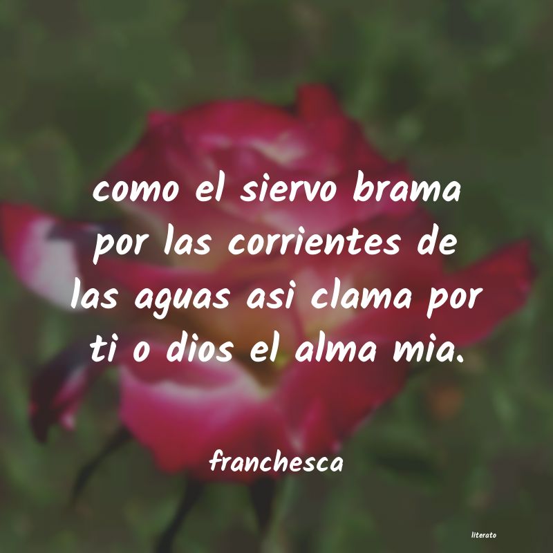 Frases de franchesca