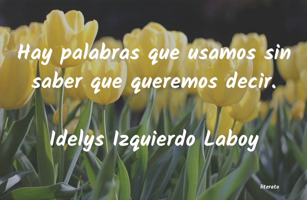 Frases de Idelys Izquierdo Laboy