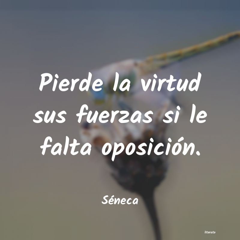 frases de Séneca