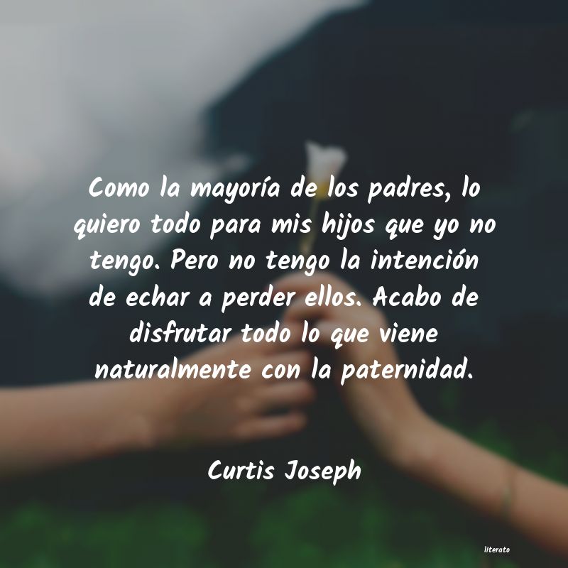frase como amiga tengo defectos pero como enemiga