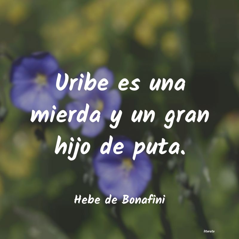 Frases de Hebe de Bonafini