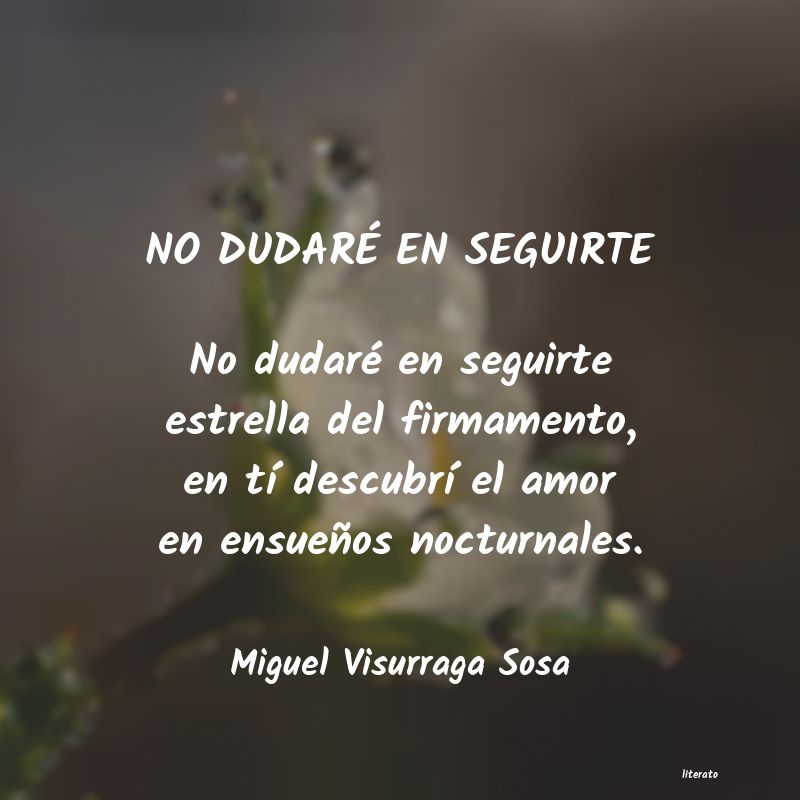 Frases de Miguel Visurraga Sosa