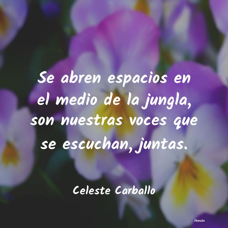 Frases de Celeste Carballo