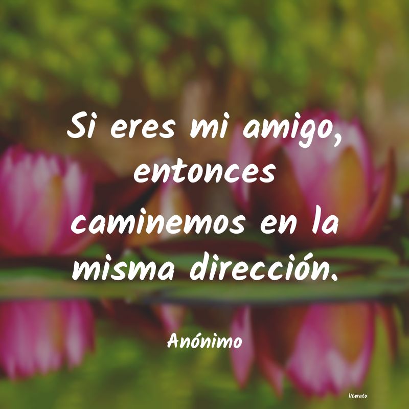 frases
