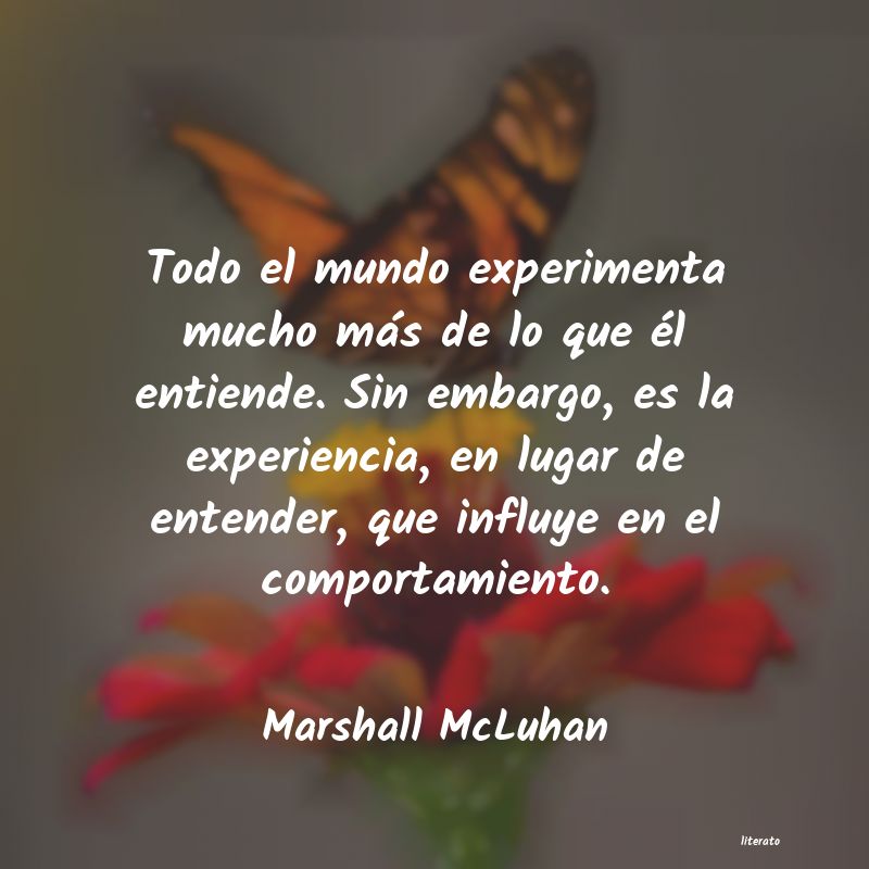 Frases de Marshall McLuhan