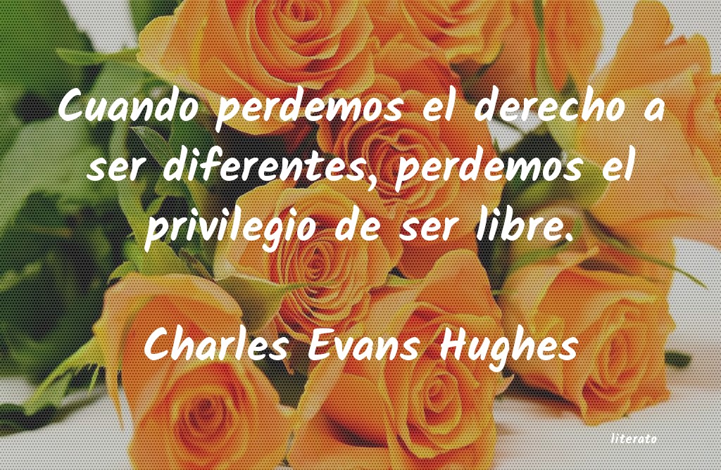 Frases de Charles Evans Hughes