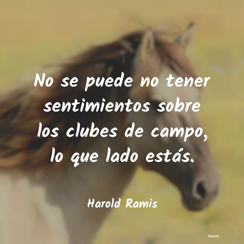 Frases de Harold Ramis