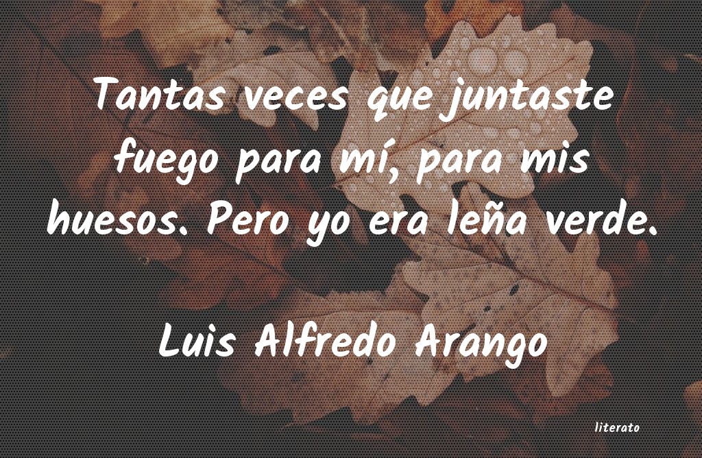 Frases de Luis Alfredo Arango