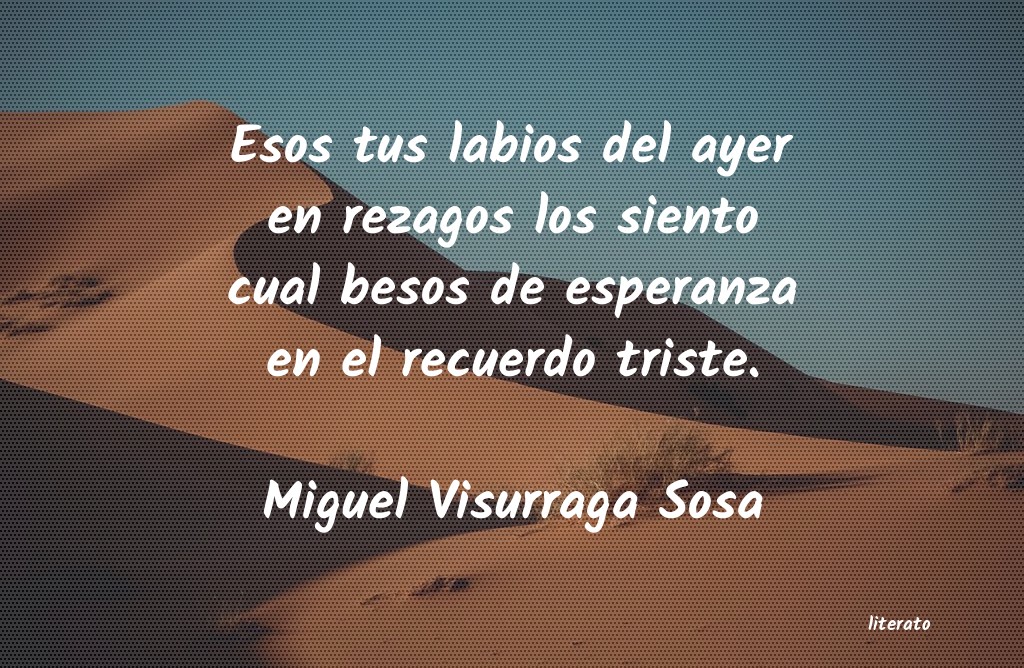 frases de Miguel Visurraga Sosa