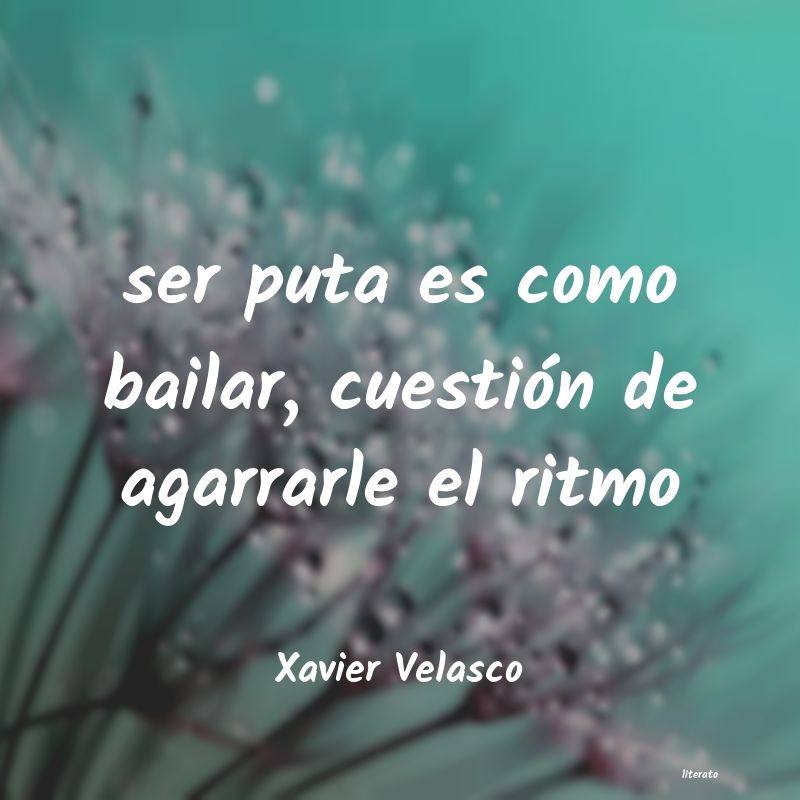 Frases de Xavier Velasco