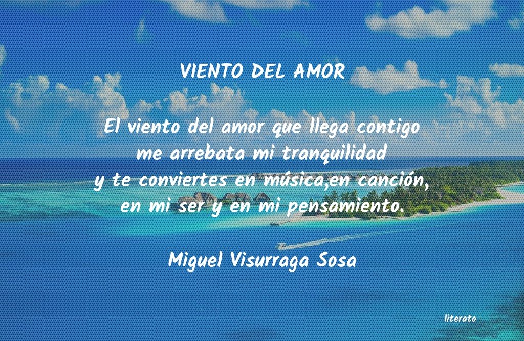 frases de Miguel Visurraga Sosa