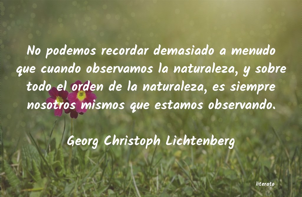 Frases de Georg Christoph Lichtenberg