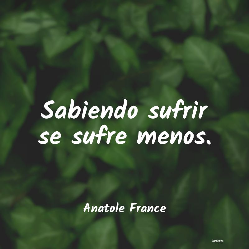 Frases de Anatole France