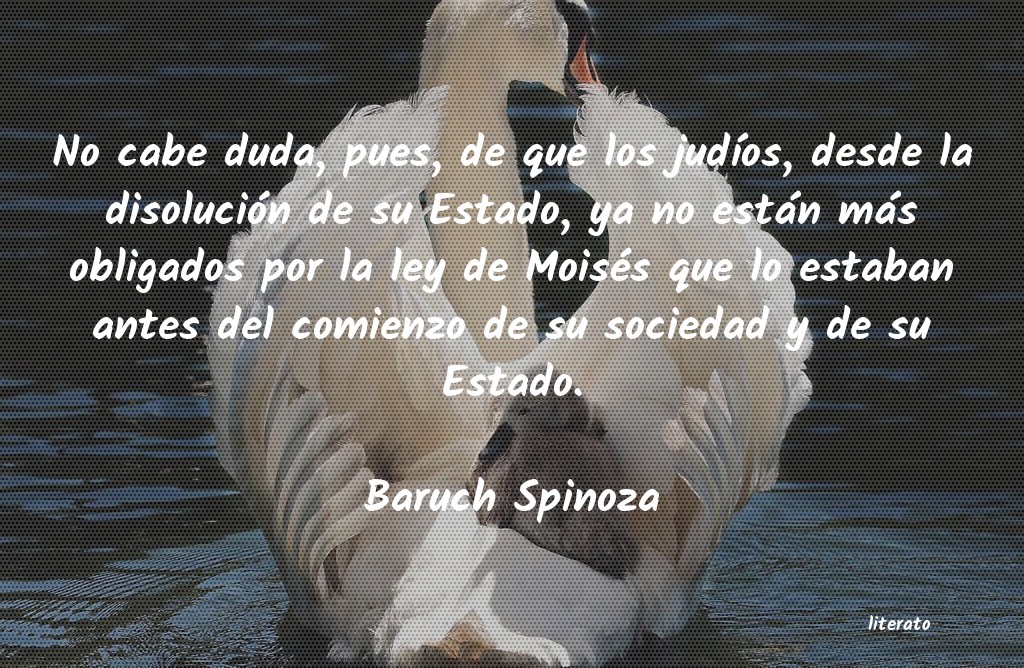 Frases de Baruch Spinoza