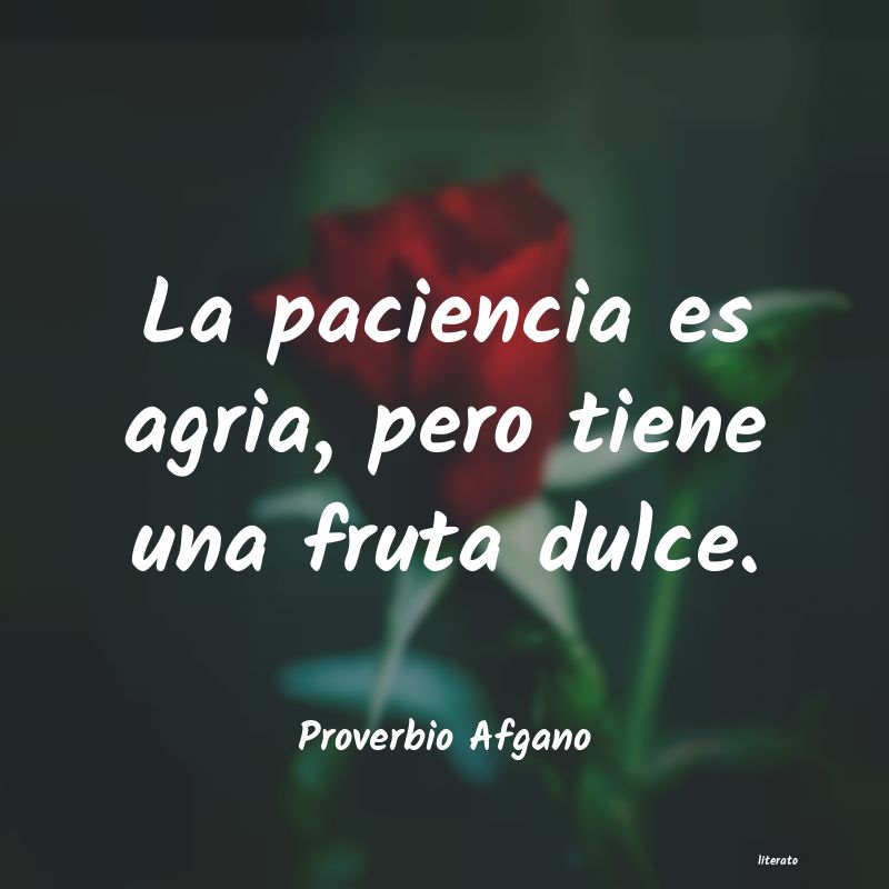 Frases de Proverbio Afgano