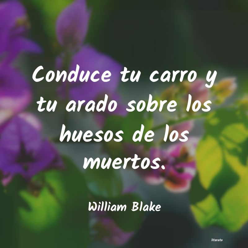 frases de conduce