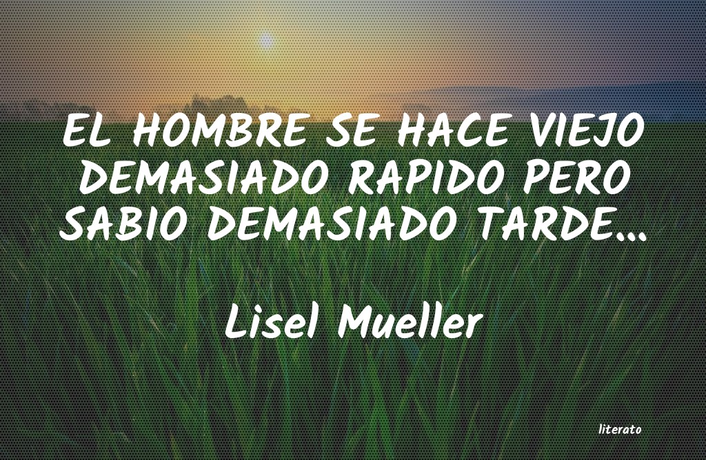 Frases de Lisel Mueller