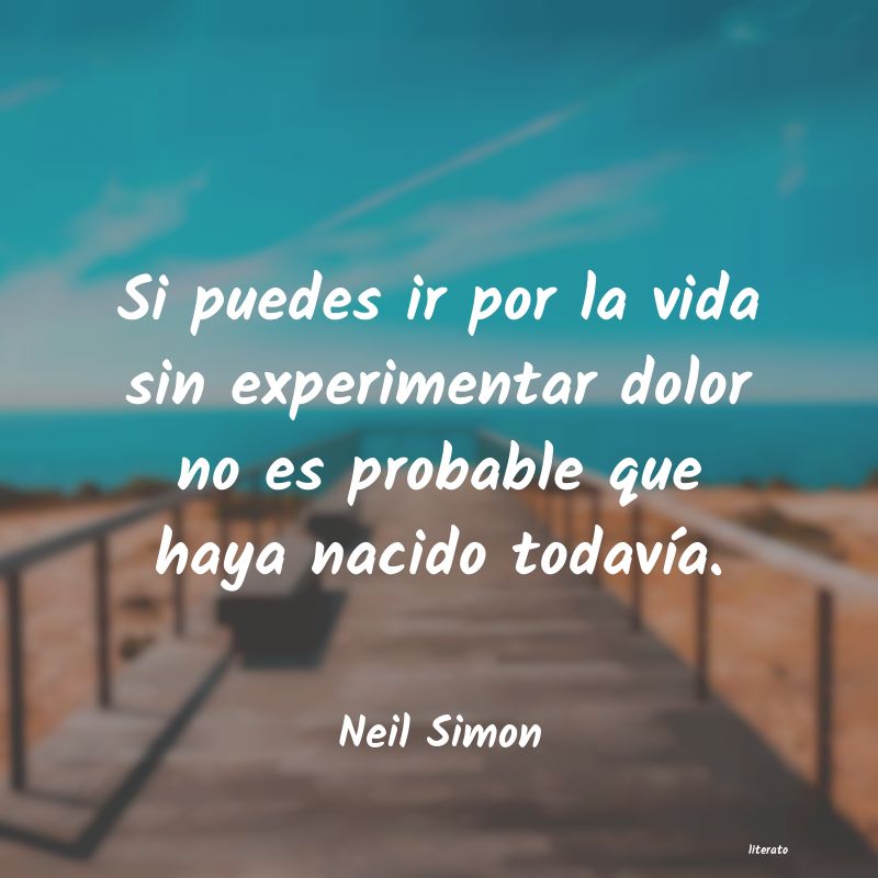 frases de Neil Simon