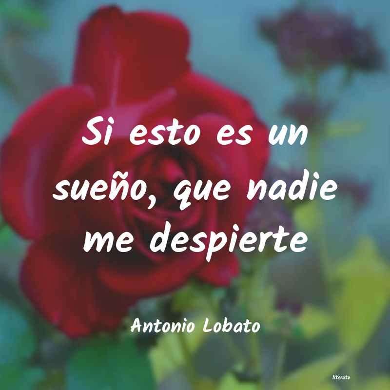frases de Antonio Lobato