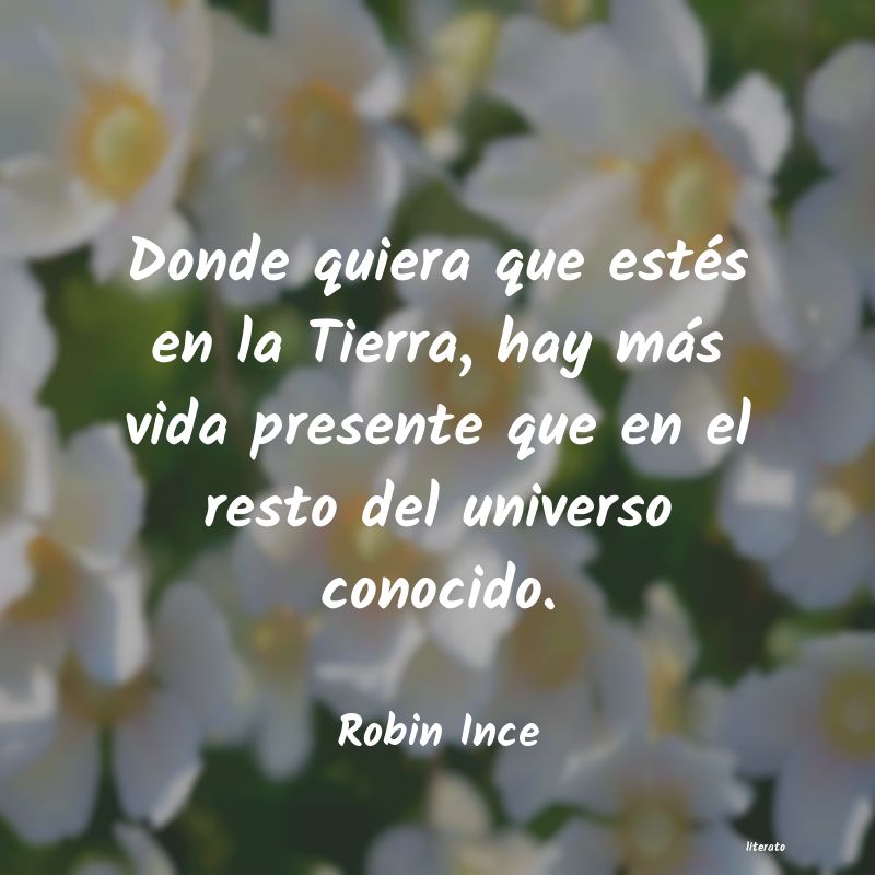 Frases de Robin Ince