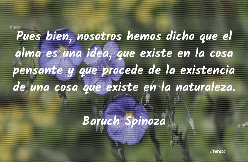 Frases de Baruch Spinoza