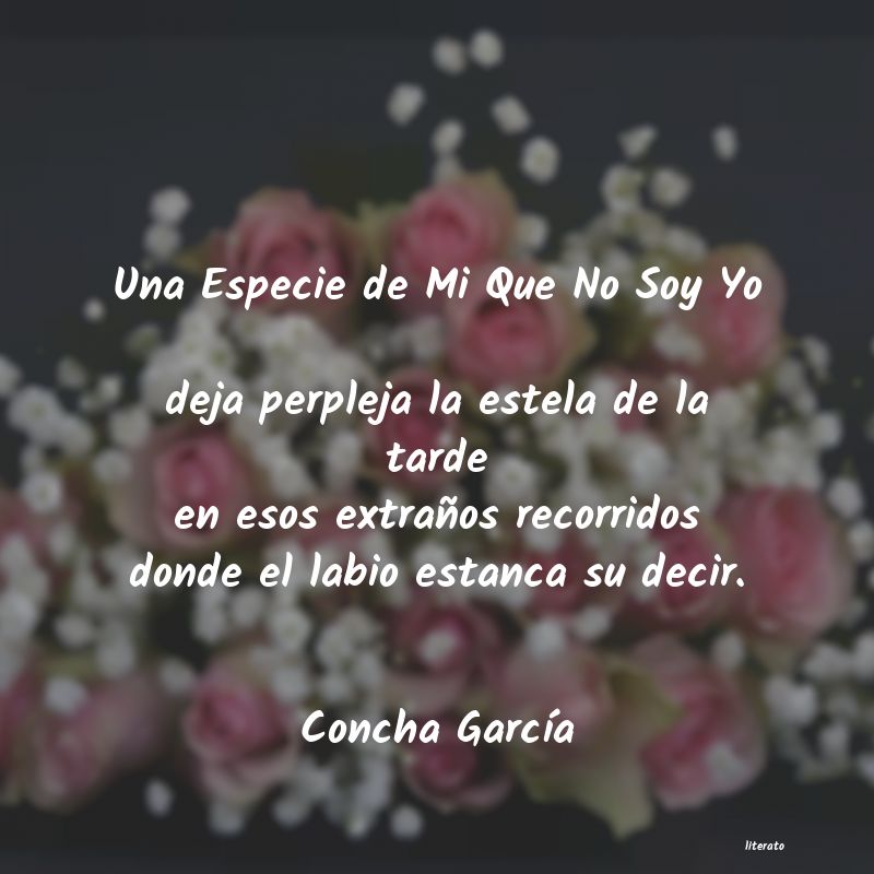 frases de Concha GarcÃa