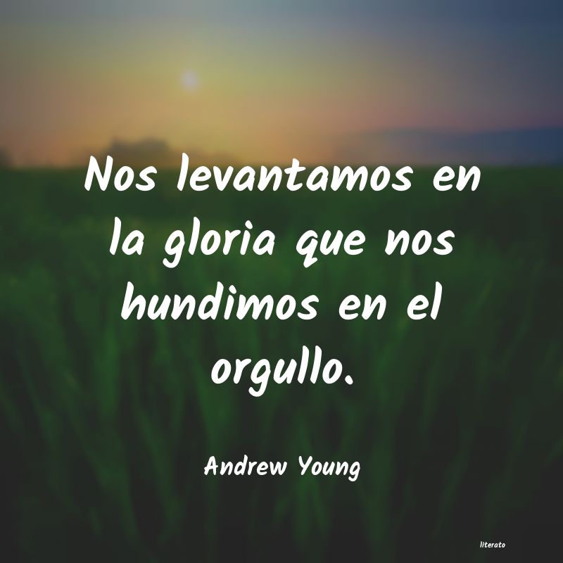 Frases de Andrew Young