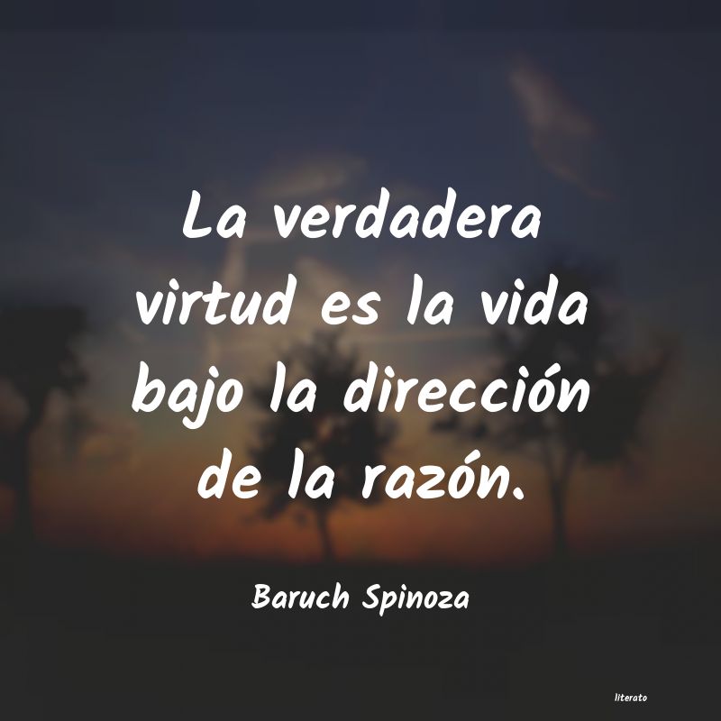 Frases de Baruch Spinoza