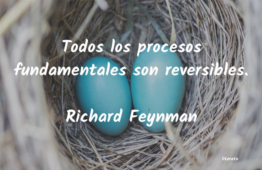 Frases de Richard Feynman