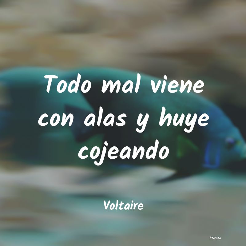 frases de Voltaire
