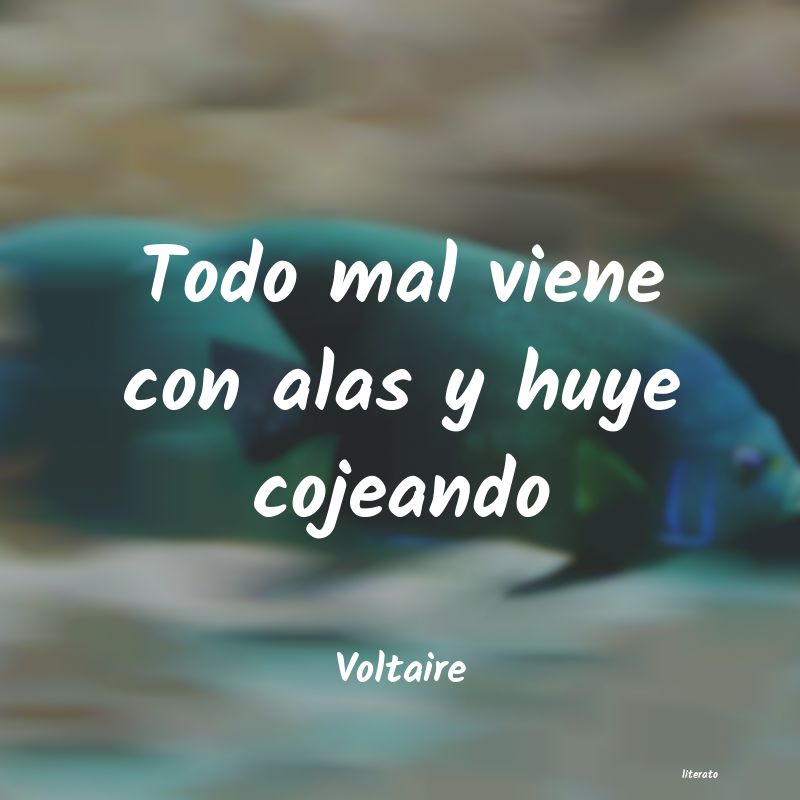 Frases de Voltaire