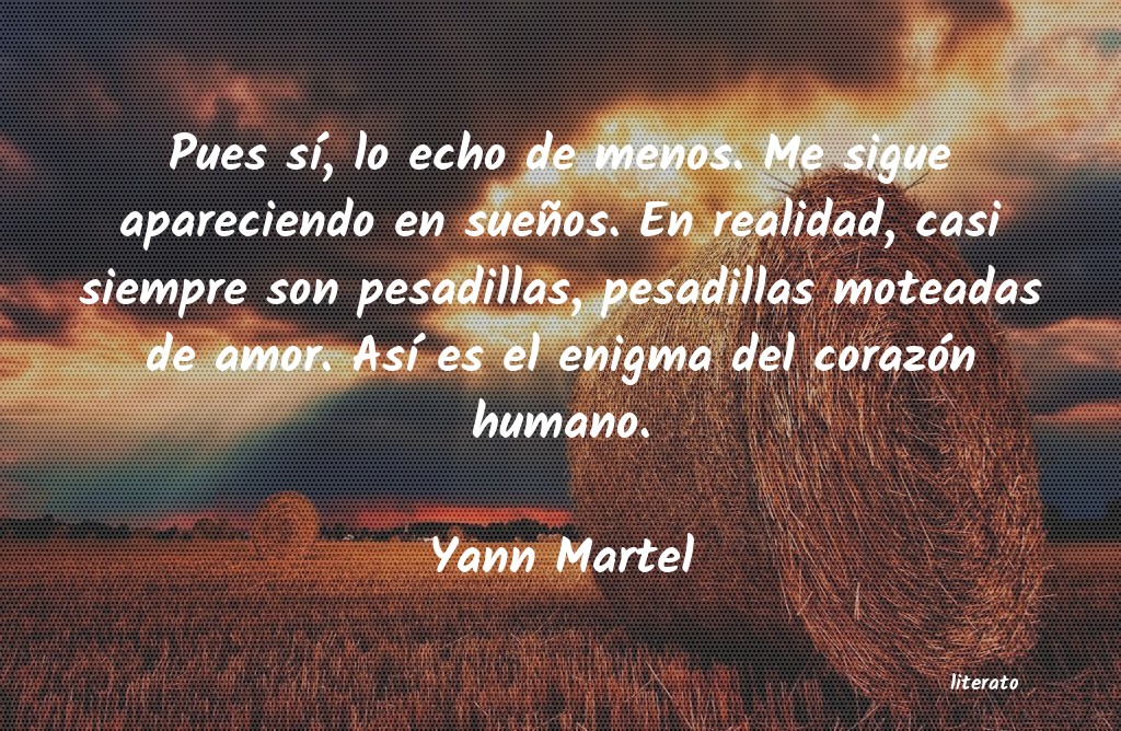 frases de Yann Martel