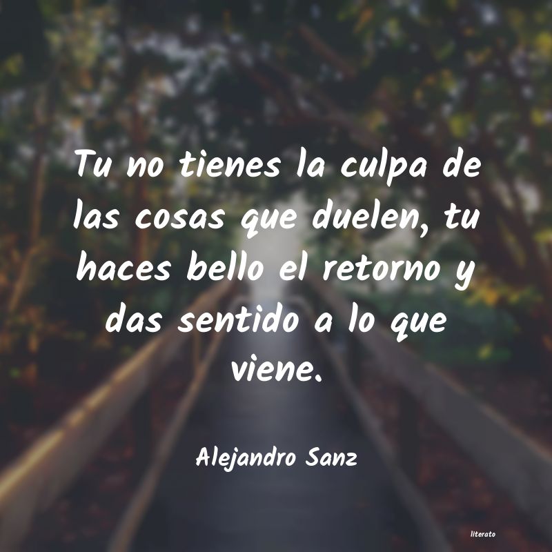 Frases de Alejandro Sanz