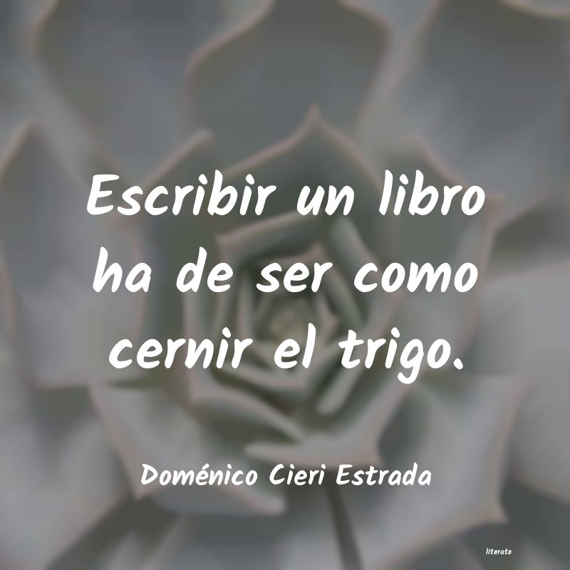 Frases de Doménico Cieri Estrada