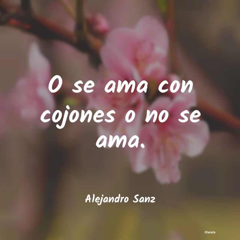frases de Alejandro Sanz