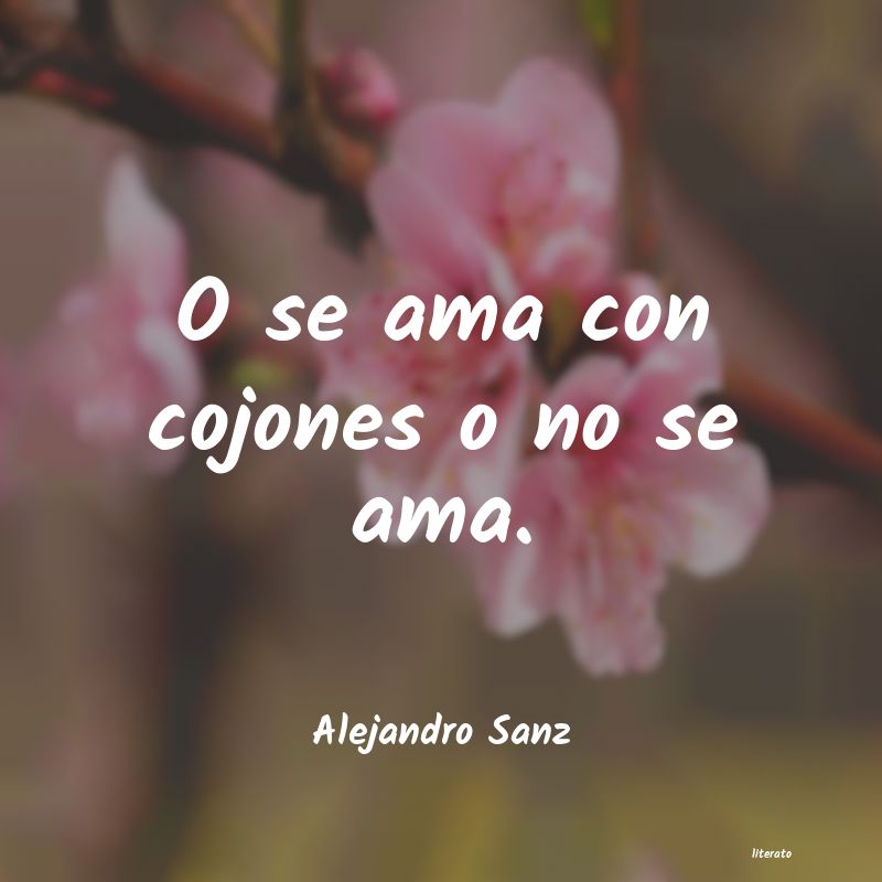 Frases de Alejandro Sanz