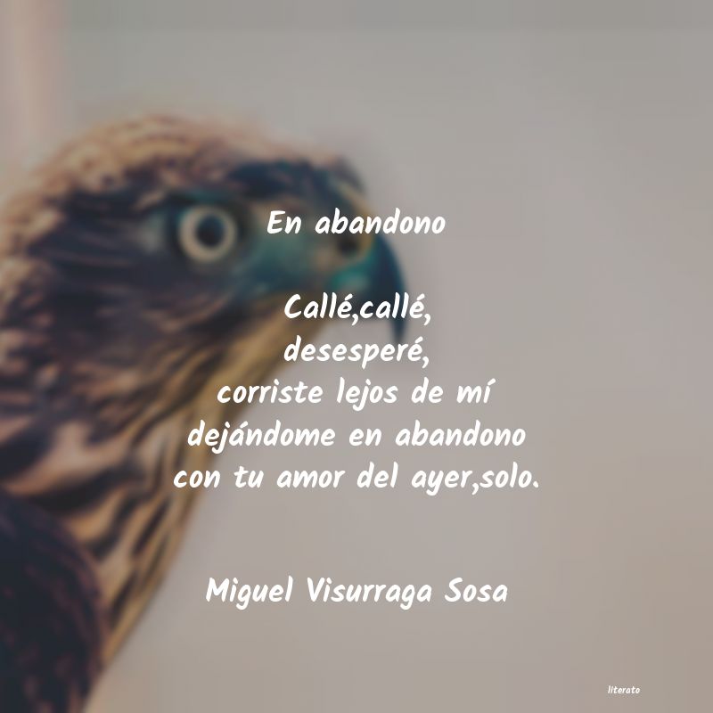 frases de Miguel Visurraga Sosa