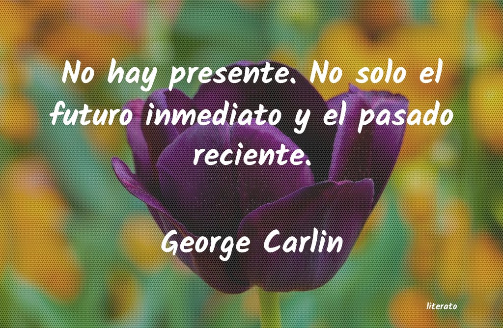 Frases de George Carlin