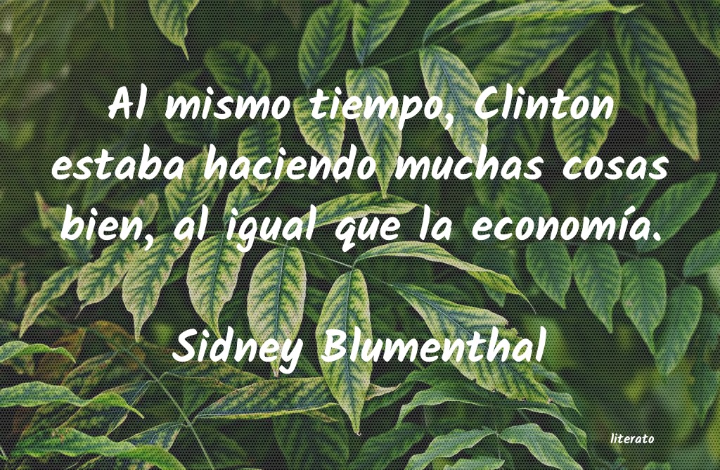 Frases de Sidney Blumenthal