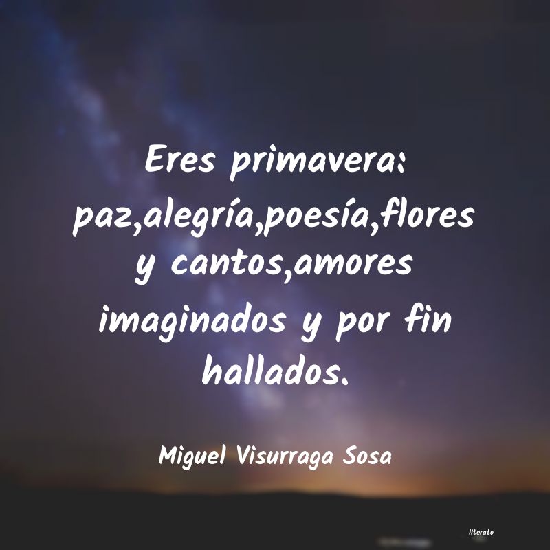 frases de Miguel Visurraga Sosa