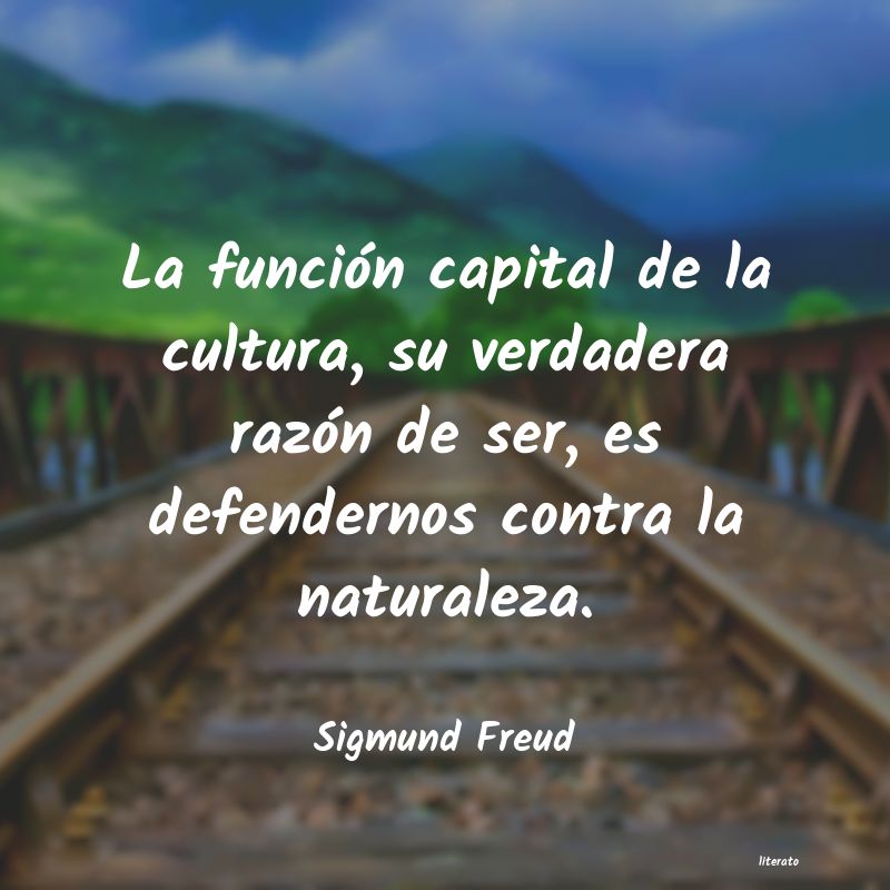 la funciÃ³n capital de la cultura sigmund