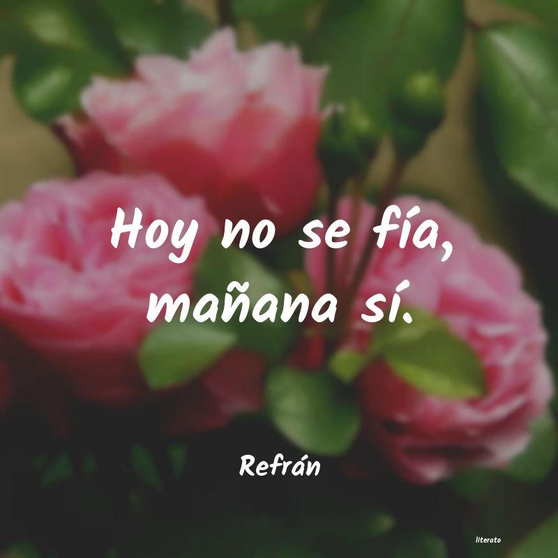frases de Refrán