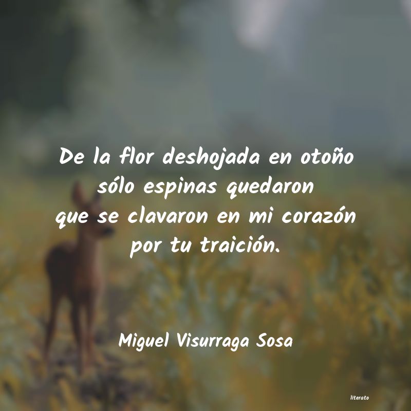 frases de Miguel Visurraga Sosa