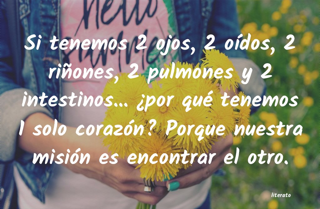 frases