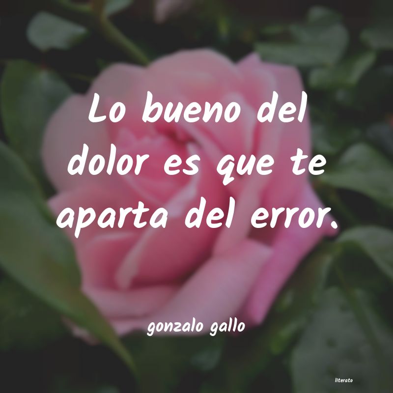 frases de gonzalo gallo