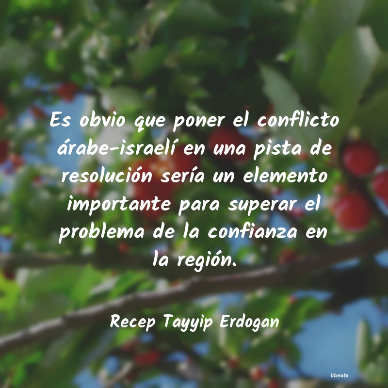 Frases de Recep Tayyip Erdogan