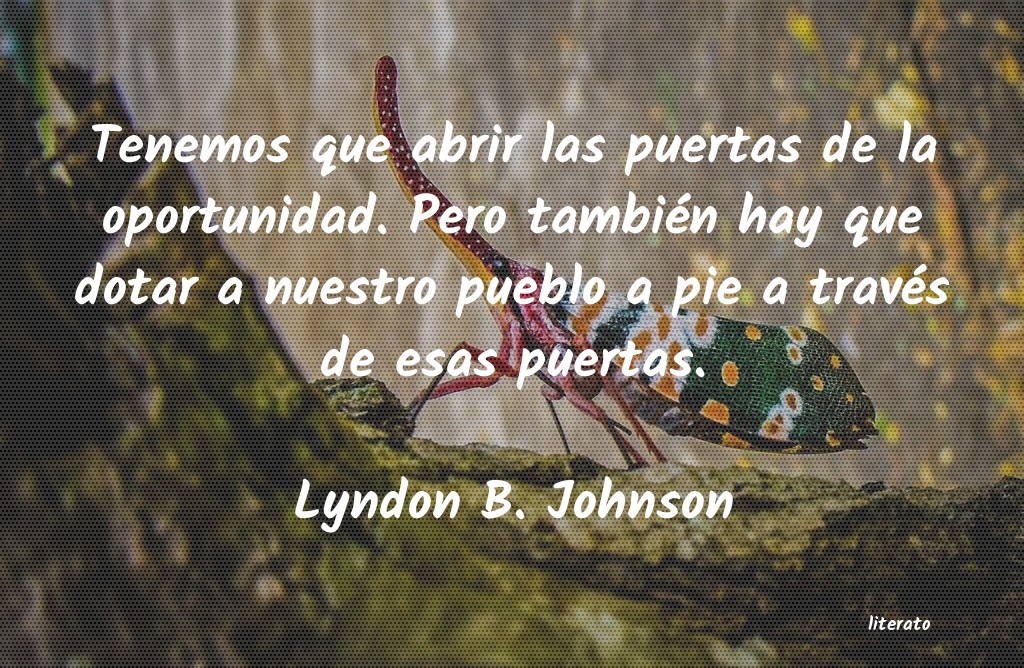 Frases de Lyndon B. Johnson